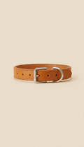 Leather Collar With Gold Buckle