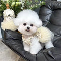 Cute Breathable Pet Princess Dress