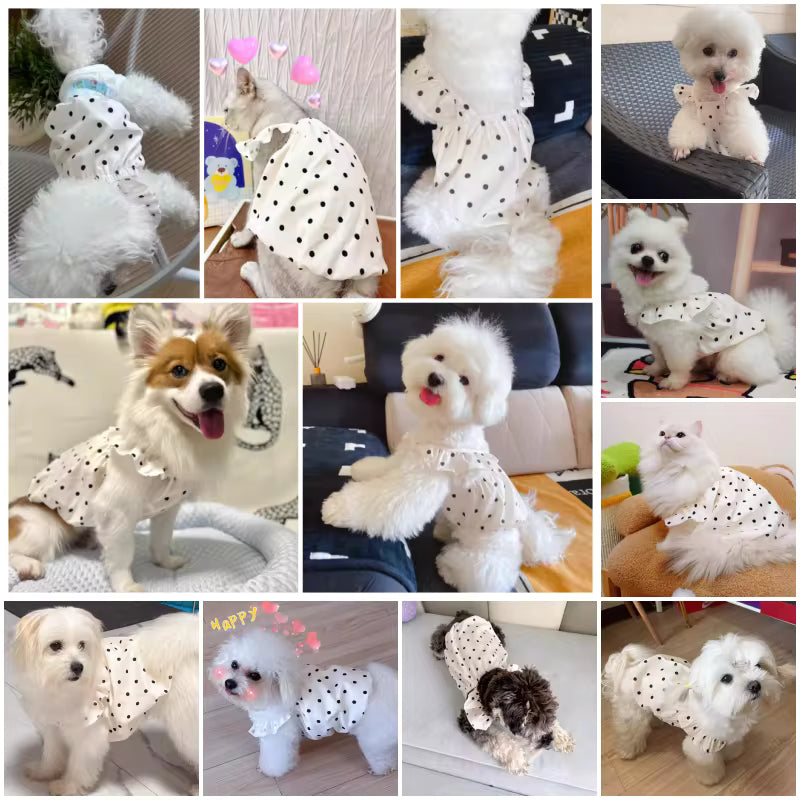 Summer Polka Dot Dog Dress for Small Dogs & Cats