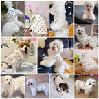 Summer Polka Dot Dog Dress for Small Dogs & Cats