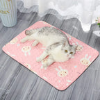 Breathable Pet Cooling Sleep Mat