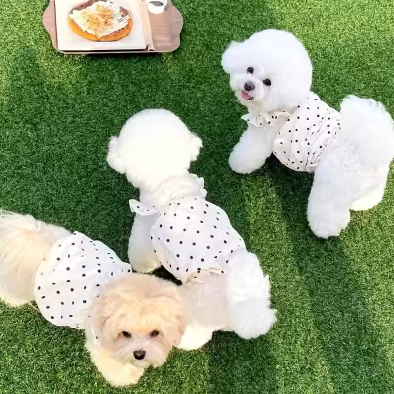 Summer Polka Dot Dog Dress for Small Dogs & Cats