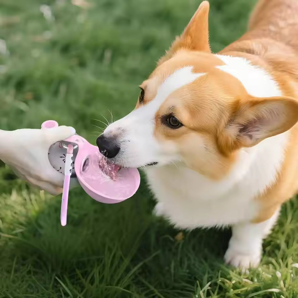 Portable Dog Water Bottle with Folding Cup