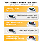 2-in-1 Smart Interactive Cat Toy