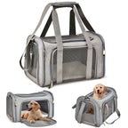 Airline Approved Pet Carrier Backpack