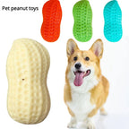 Peanut Squeaky Dog Chew Toy