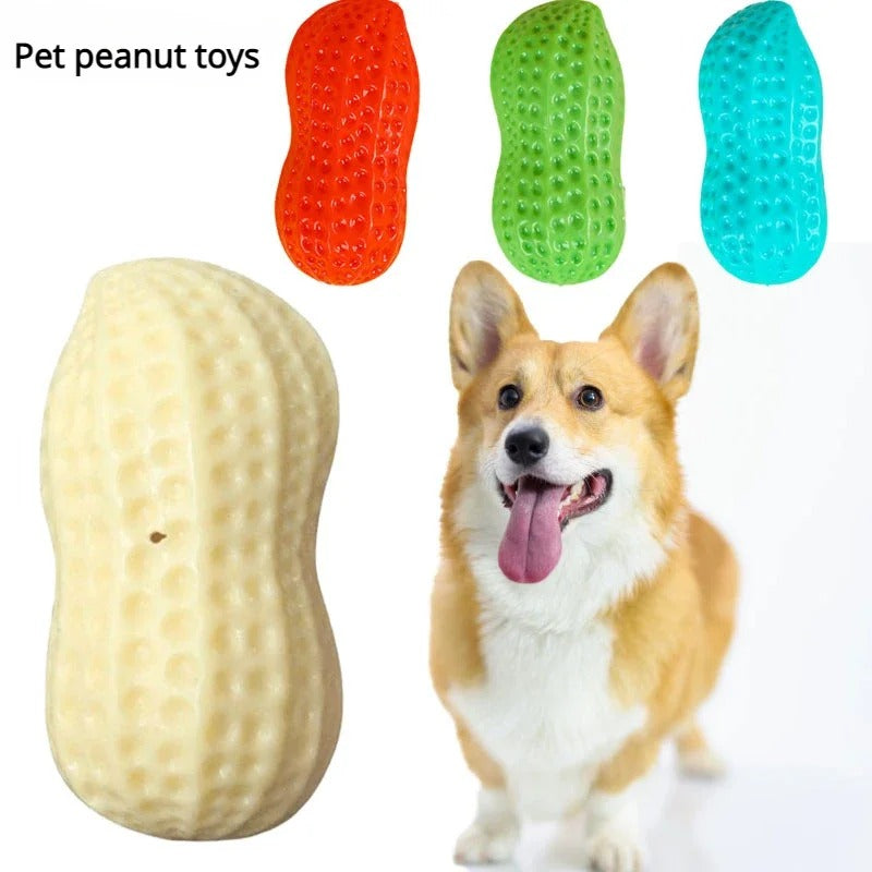 Peanut Squeaky Dog Chew Toy