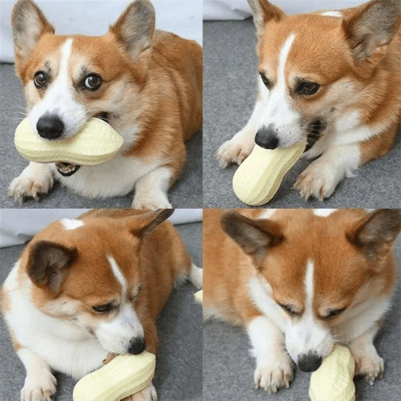 Peanut Squeaky Dog Chew Toy