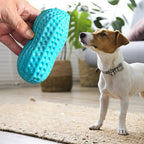 Peanut Squeaky Dog Chew Toy