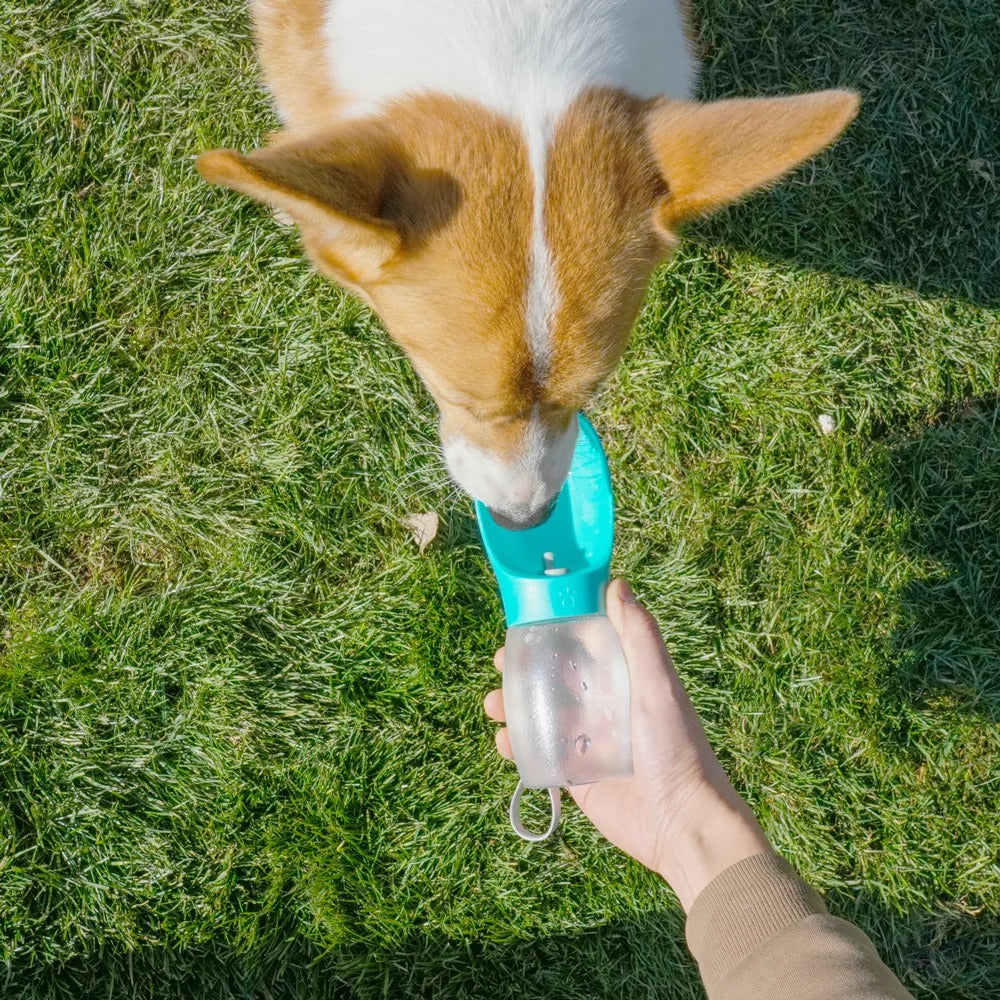 300ML Portable Pet Water Bottle