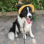 Adjustable Dog Sun Protection Hat