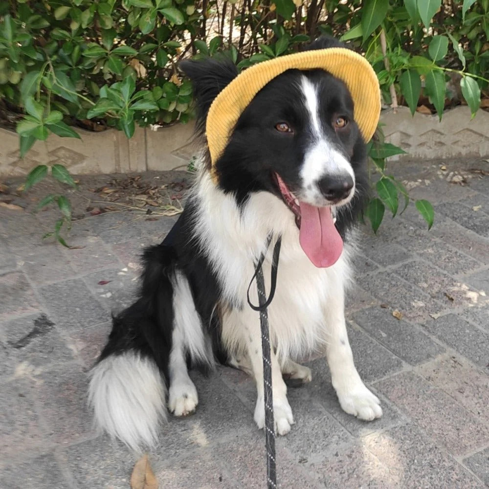 Adjustable Dog Sun Protection Hat