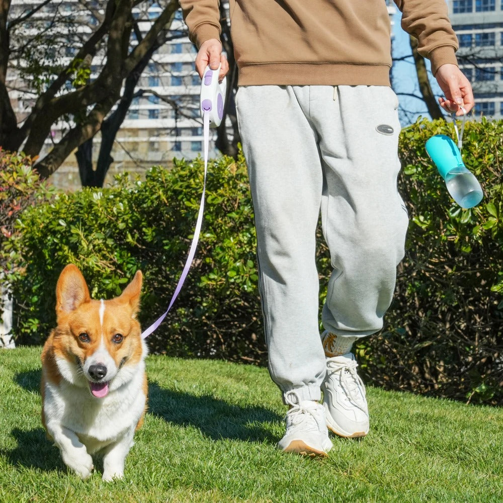 300ML Portable Pet Water Bottle
