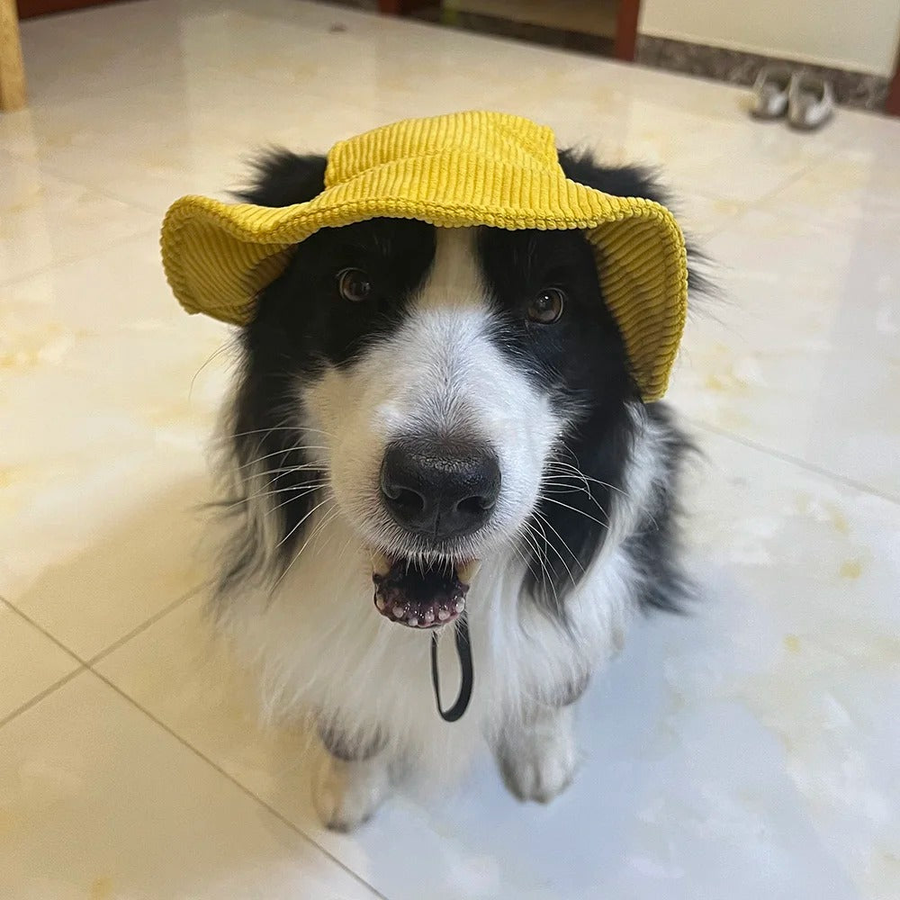 Adjustable Dog Sun Protection Hat
